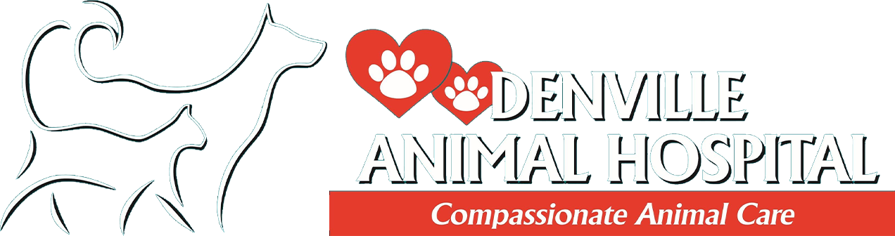 Denville Animal Hospital Logo