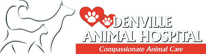 Denville Animal Hospital logo